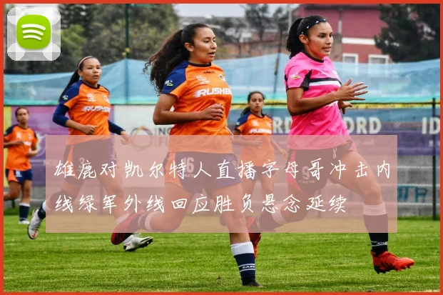 雄鹿对凯尔特人直播字母哥冲击内线绿军外线回应胜负悬念延续