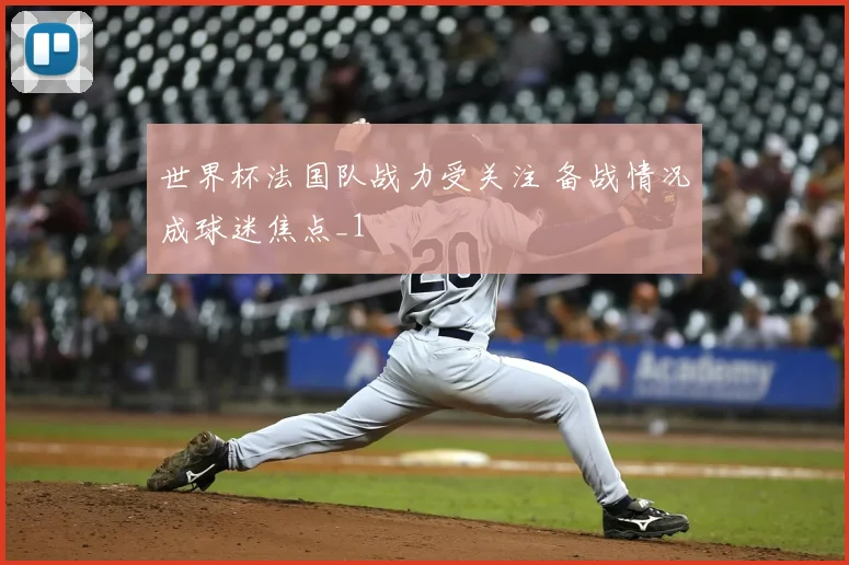世界杯法国队战力受关注 备战情况成球迷焦点_1